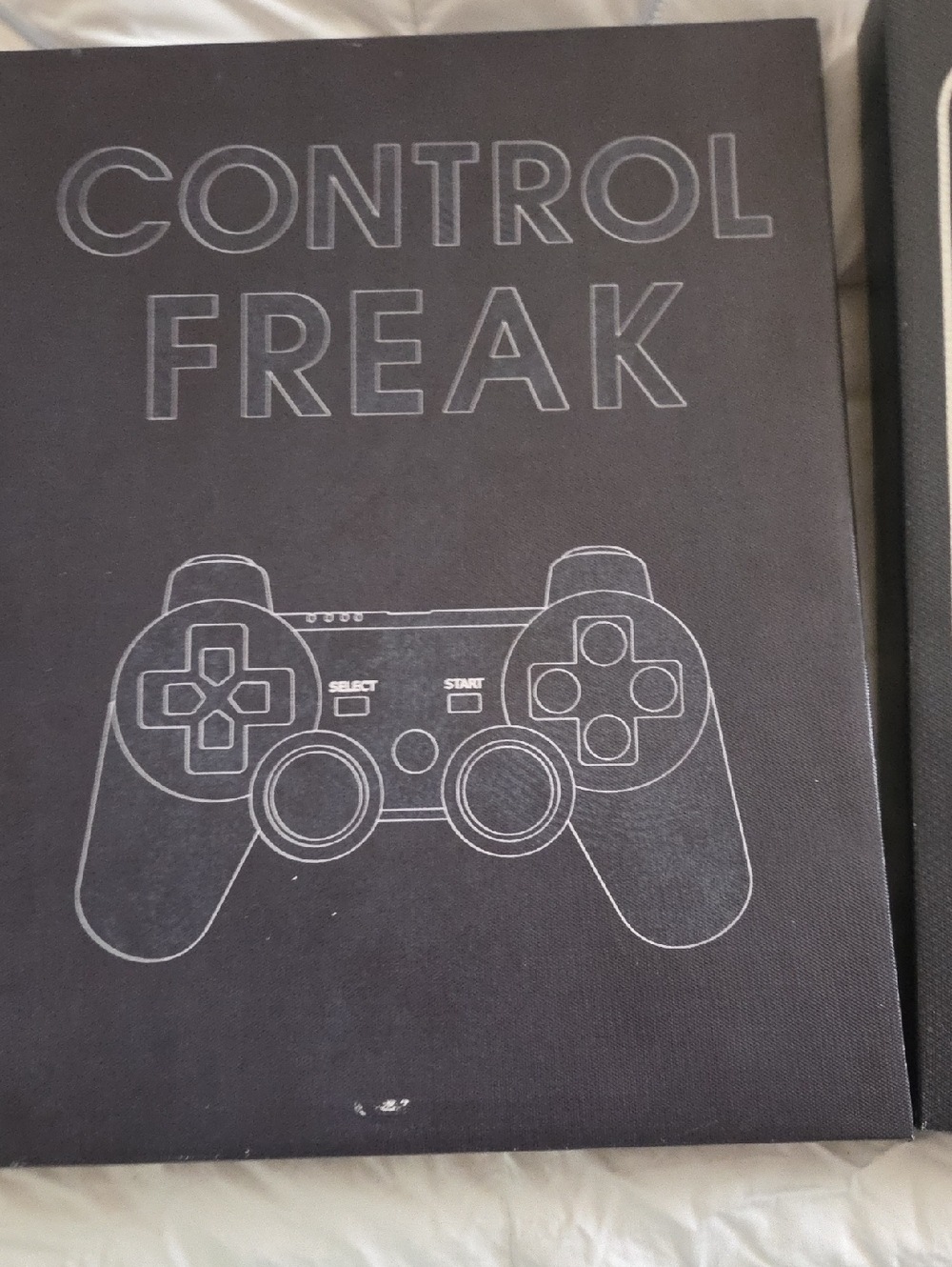 Control Freak Printed Wall Art Canvas - Black